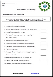 Sample Worksheets-StudyChamps